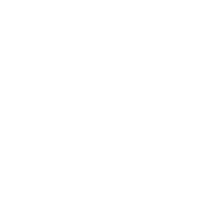 e_mydata