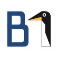 b1systems